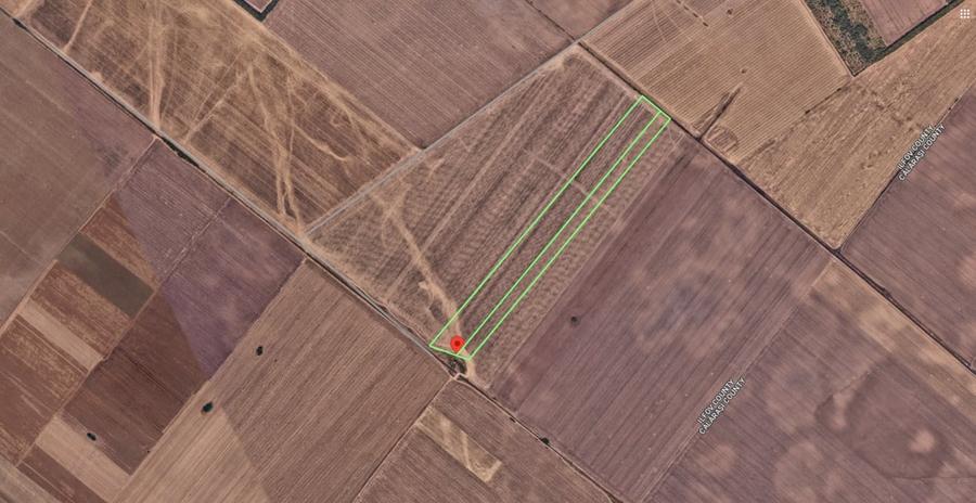 Teren agricol extravilan de 65000 mp, în Popești-Leordeni