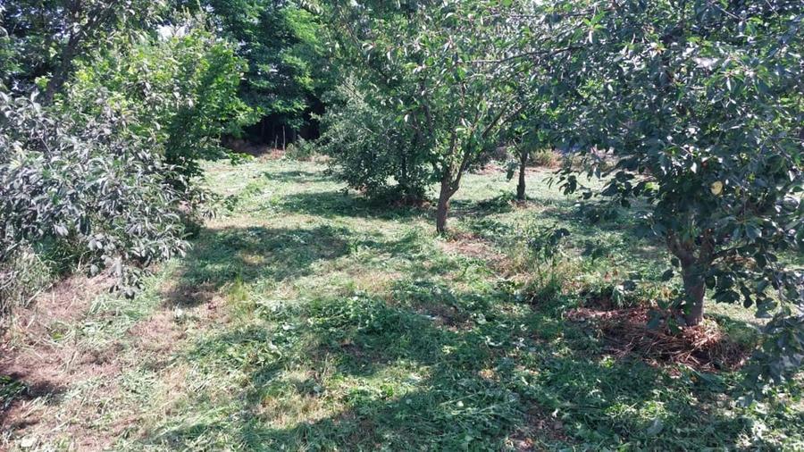 Teren de 1500 mp, în Frumușani