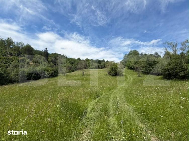 Teren Extravilan 5049 mp , Vama - Bucovina - 3