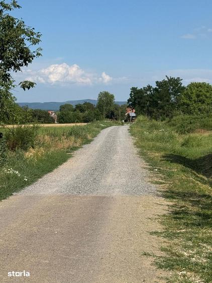 Teren de 3632 mp, în Viile Satu Mare