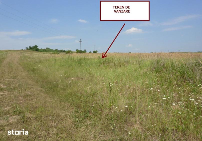 Teren de 11600 mp, în Cetariu