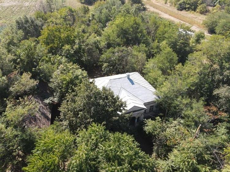 Teren Construcții intravilan de 17800 mp, în Dobrotești