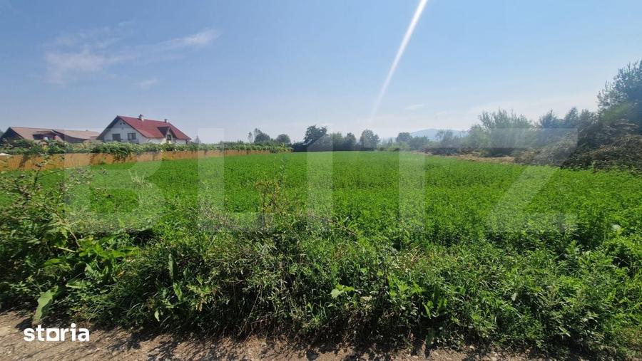 Teren intravilan de vanzare, 3800 mp, zona Vest - 1