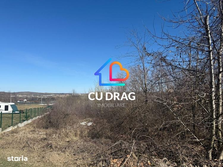 Spațiu comercial, în Sibiel