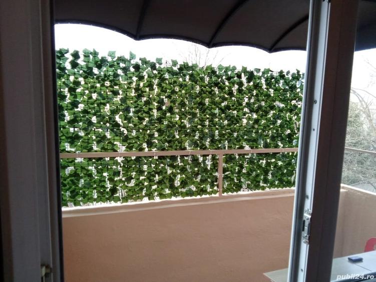 Apartament cu 2 camere semidecomandat în Brazda lui Novac