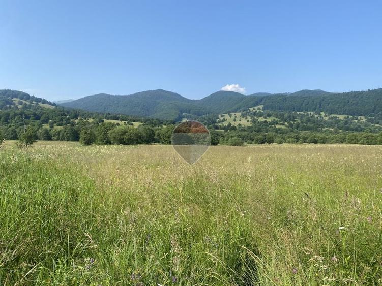 Teren agricol extravilan de 4306 mp, în Vama Buzăului