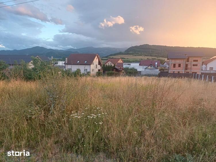 Teren de 1000 mp, în Central