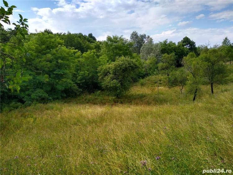 Teren de 4700 mp, în Romos