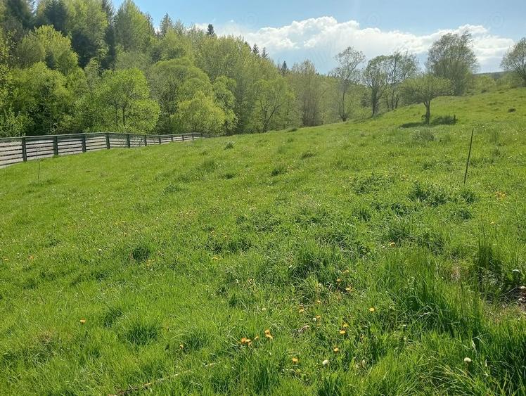 Teren de 1800 mp, în Varvata