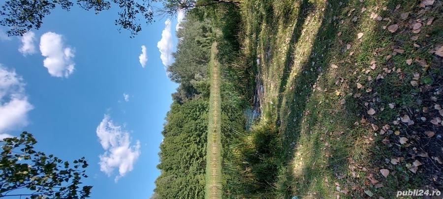 Teren de 5000 mp, în Ostrovu Corbului