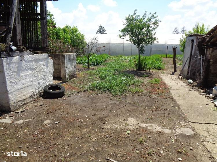 Casă cu 3 camere cu Teren 748 Mp în Central
