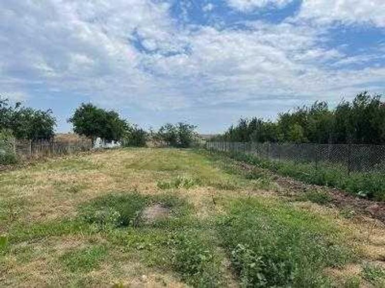 Teren intravilan de 1200 mp, în Chiscani
