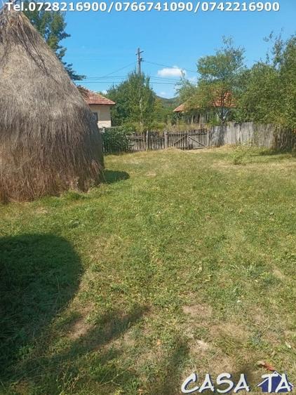 Teren Construcții intravilan de 3900 mp, în Central