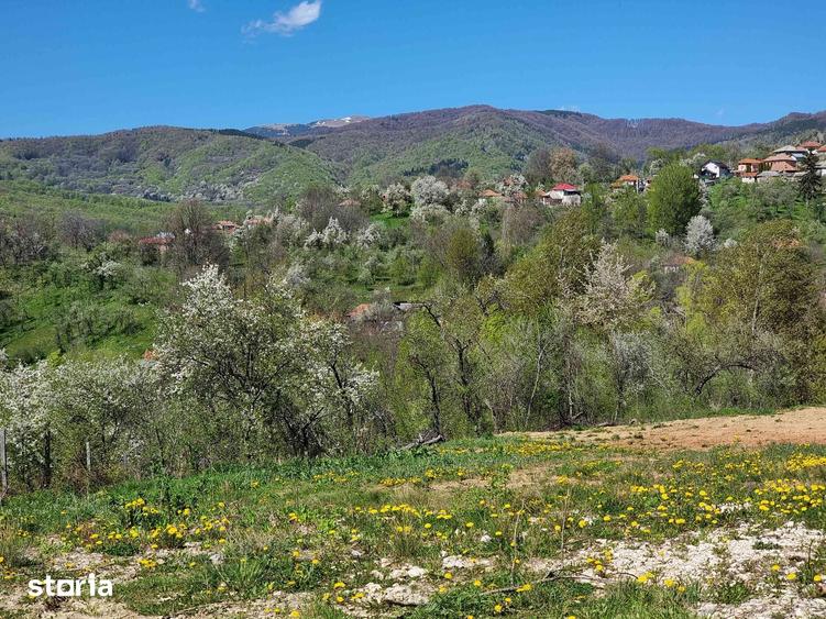 Teren de 1600 mp, în Pucheni