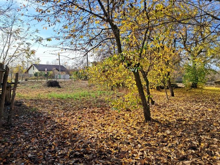 Teren de 3068 mp, în Priseaca