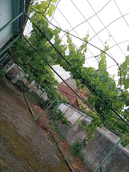 vand casa parinteasca - 4