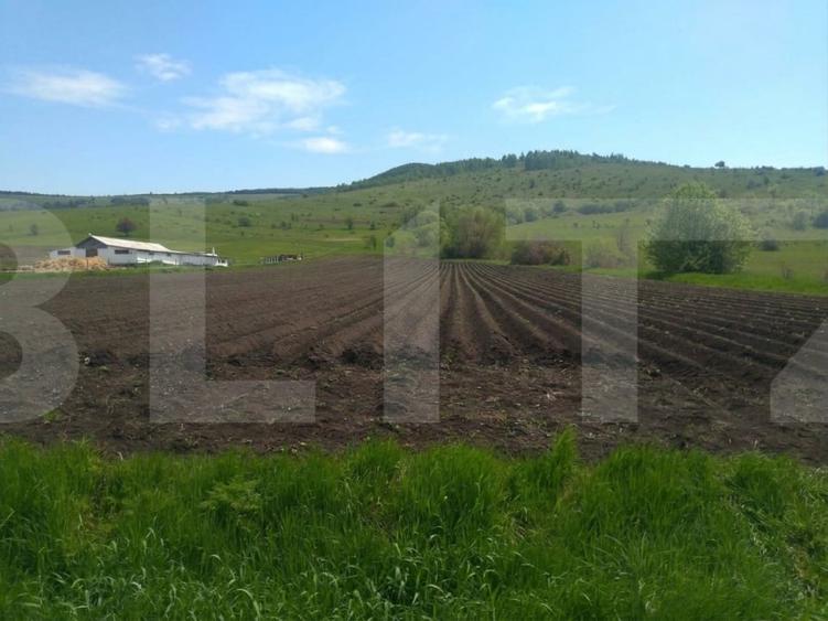 Teren agricol extravilan de 48100 mp, în Lisnău