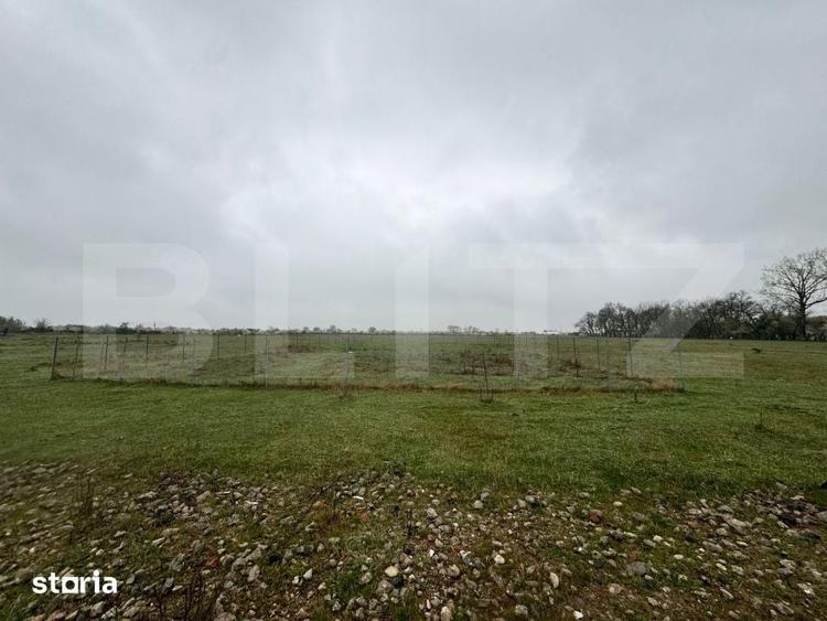 Teren Intravilan Giroc 695mp (3 min de centura) - 4