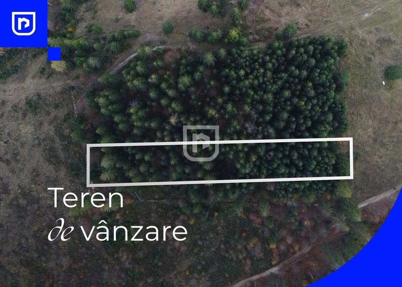Teren extravilan de 3139 mp, în Vest