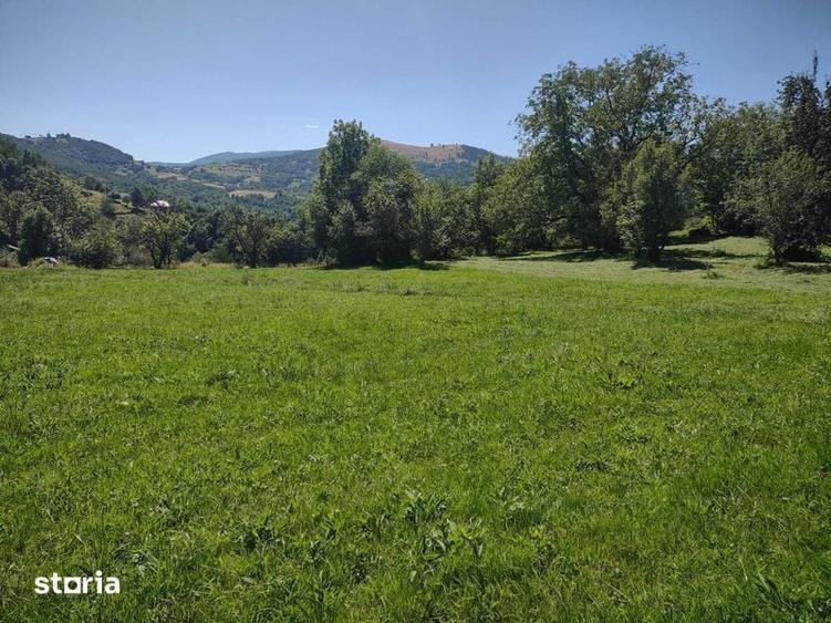 Teren de 1986 mp, în Poieni