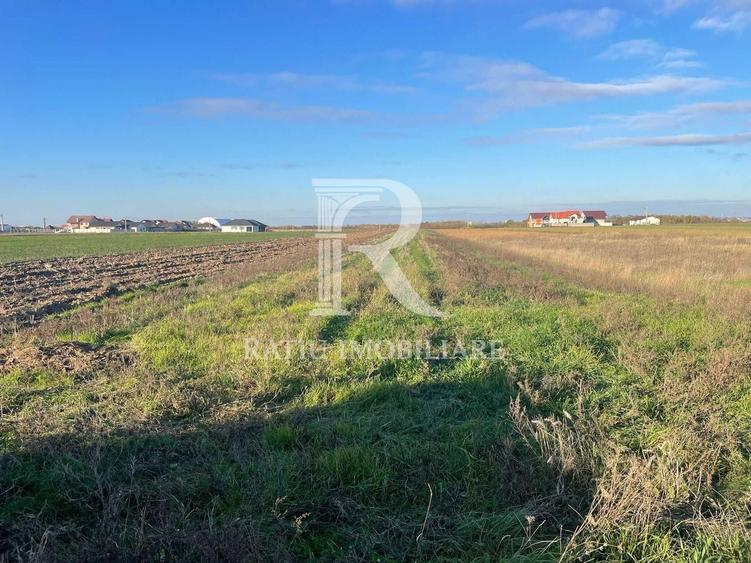 Teren Construcții intravilan de 3622 mp, în Nojorid