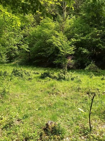 Teren de 1200 mp, în Văliug