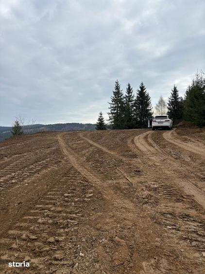 Teren de 1819 mp, în Horea