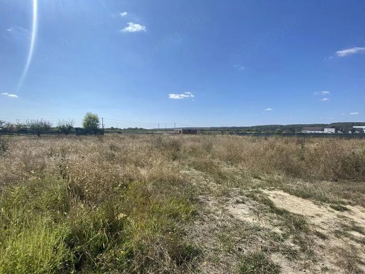 Teren de 1040 mp, în Moșoaia