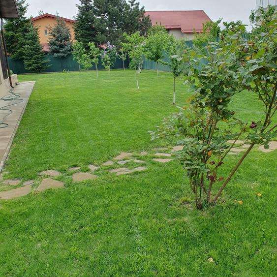 Casă individuală cu 4 camere cu Piscina în Chitila