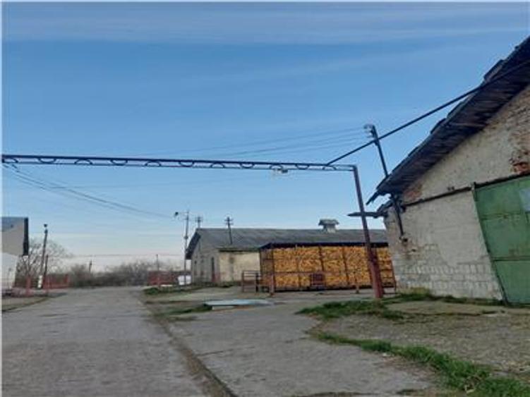 Teren intravilan de 46000 mp, în Central