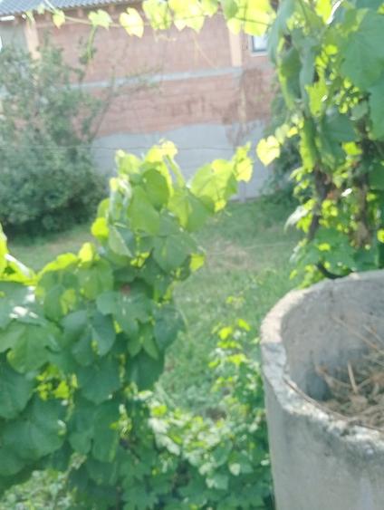 De vânzare teren intravilan cu o casă demolabilă  - 4