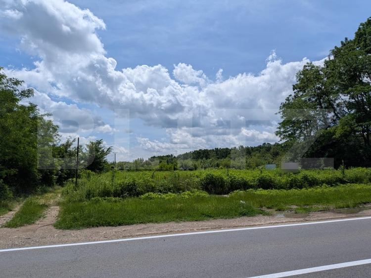 Teren agricol extravilan de 12700 mp, în Priseaca