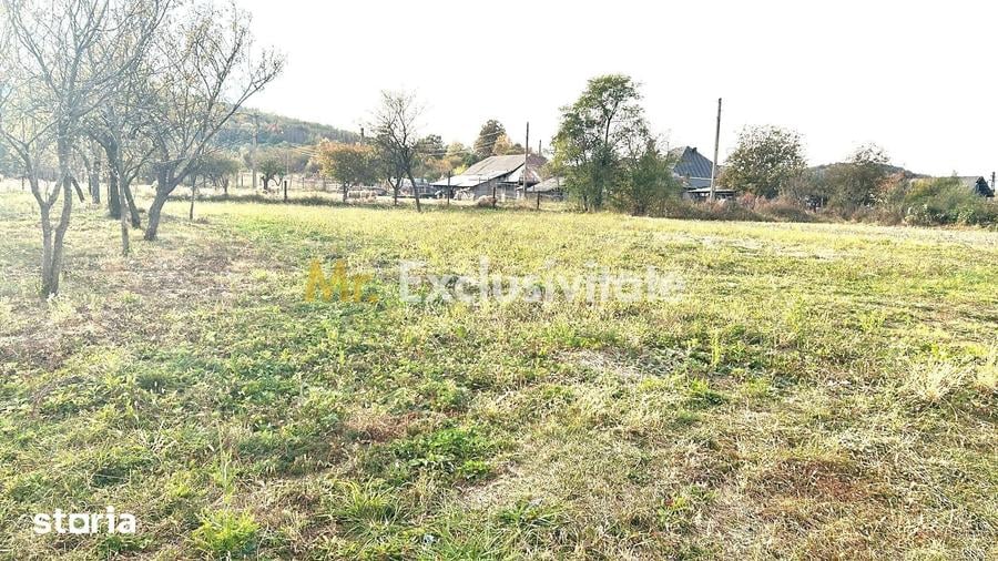 Teren de 1135 mp, în Merișani