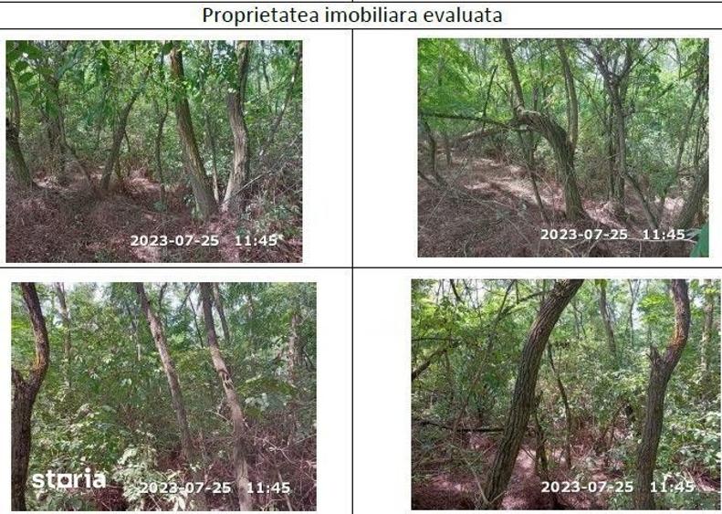 Teren de 10000 mp, în Horgești