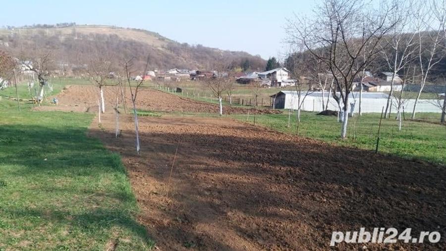 Teren de 2200 mp, în Central