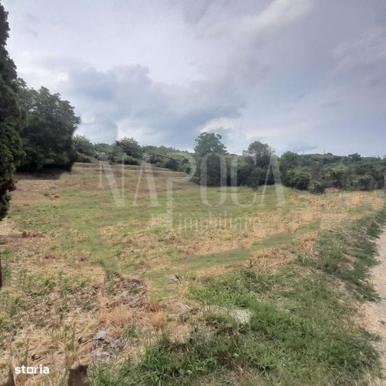Teren intravilan pentru constructii de vanzare in Gheorghe Doja Oradea - 3