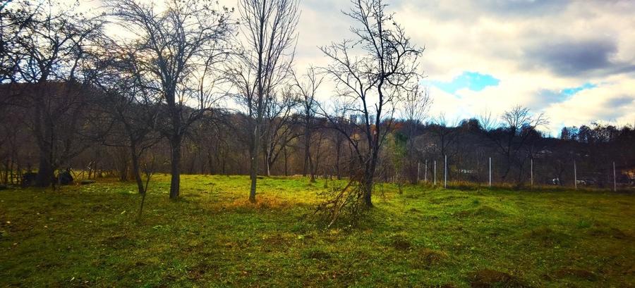 Teren Construcții intravilan de 2900 mp, în Breaza