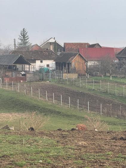 Teren de 1377 mp, în Alparea