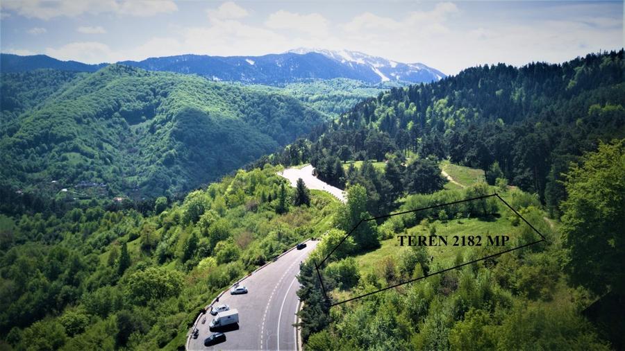 Teren Construcții intravilan de 2182 mp, în Drumul Poienii