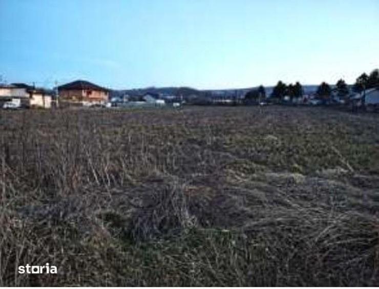 Teren de 1000 mp, în Tomești