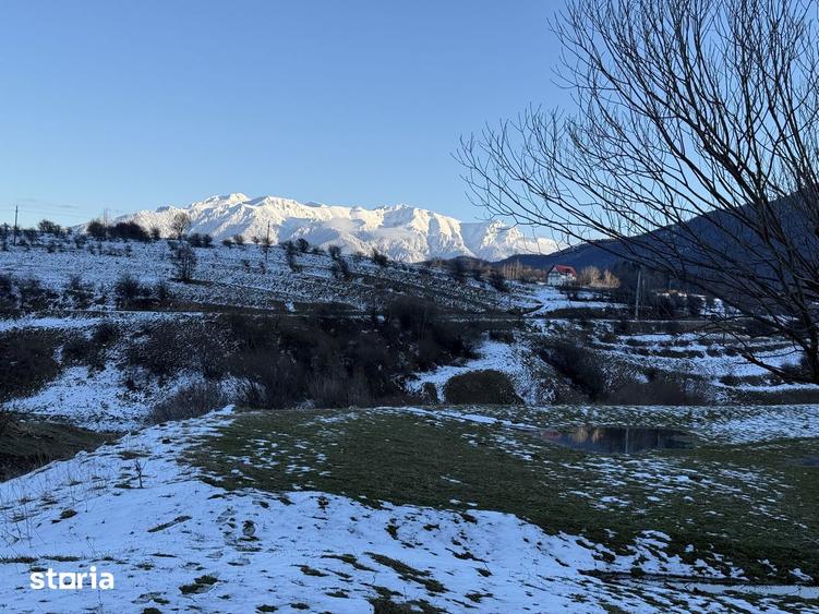Teren intravilan 667 mp in Zarnesti zona Grui pentru casa - 7