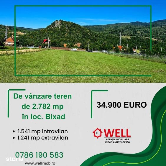 Teren de 2782 mp, în Bixad