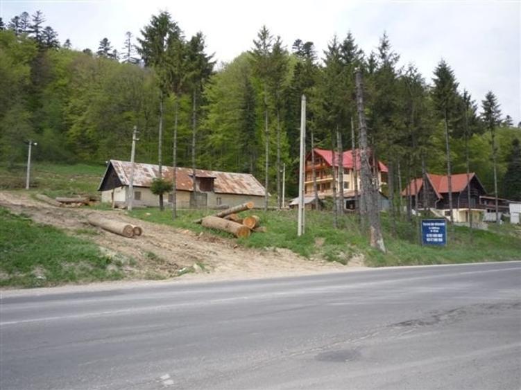 Teren Construcții intravilan de 3450 mp, în Bușteni