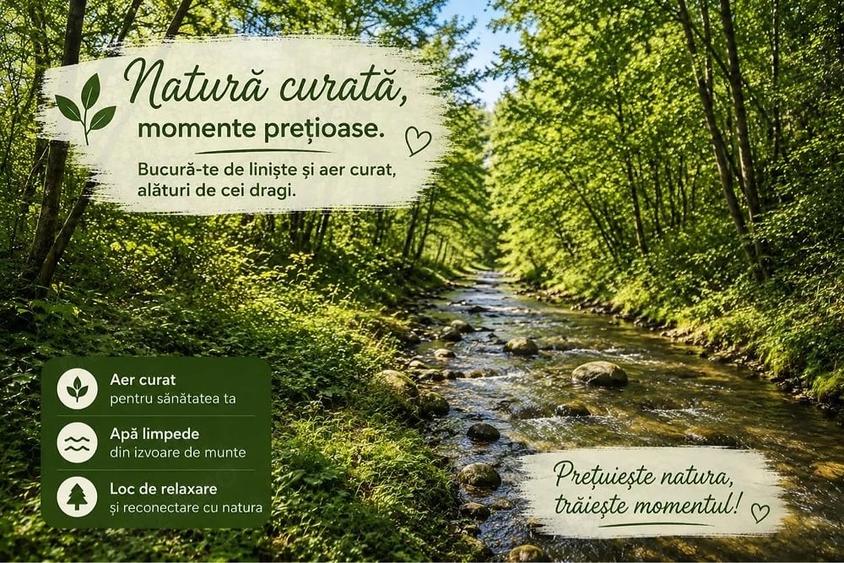 Teren de 4513 mp, în Slătioara