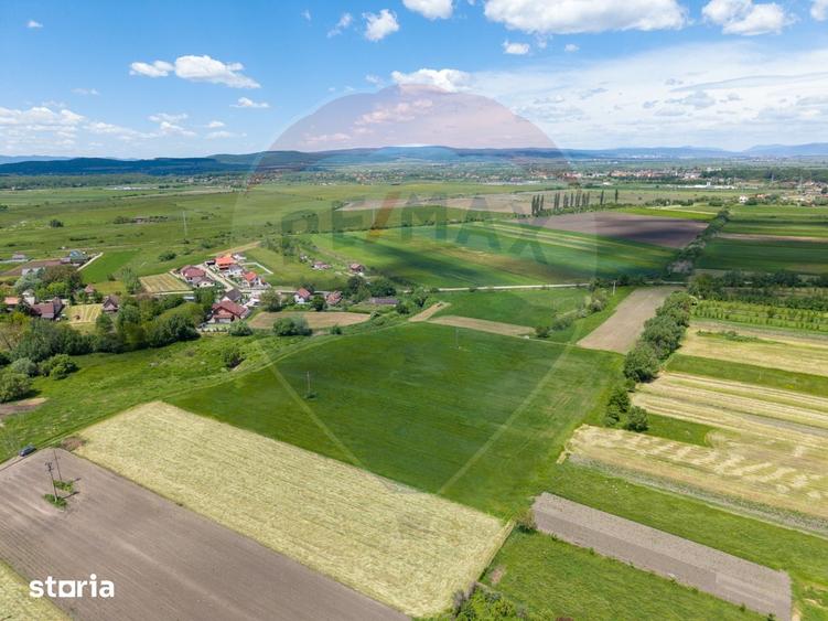 Teren de 25100 mp, în Prejmer