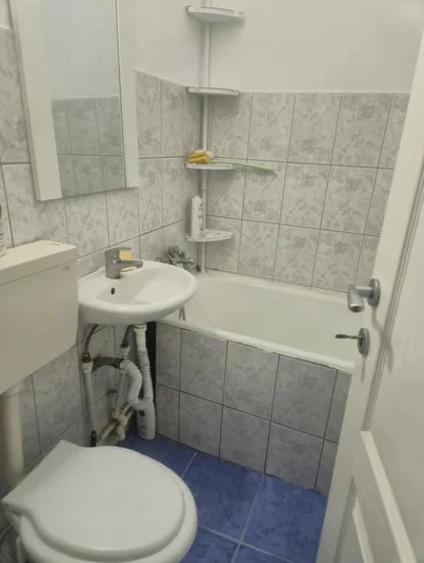 Apartament cu 1 camera in Tudor Vladimirescu - 9
