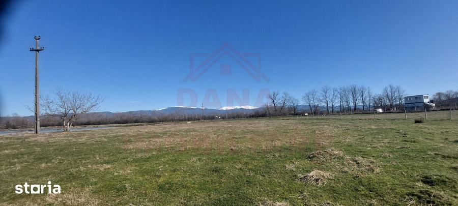 Teren de 20000 mp, în Central