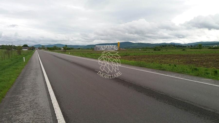Teren agricol extravilan de 19100 mp, în Șintereag