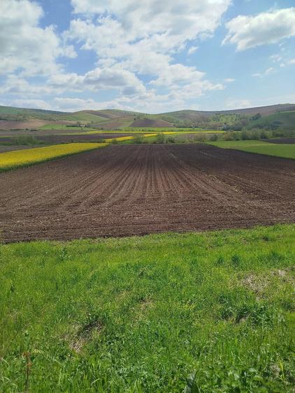 Teren de 6400 mp, în Central
