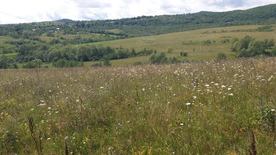Teren de 500 mp, în Sălicea